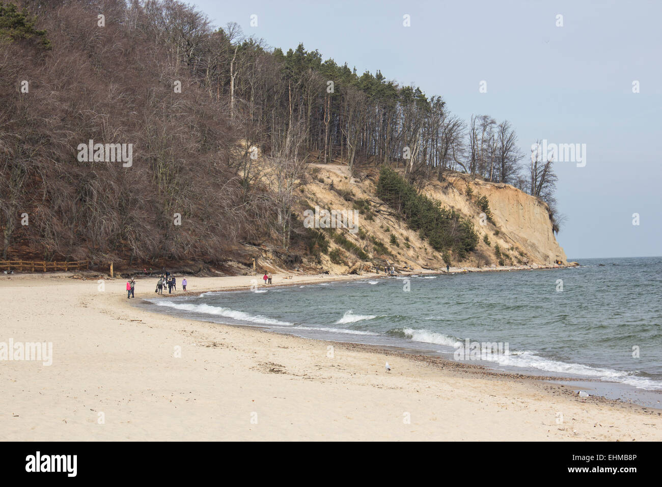 Cliff of Orlowo at Baltic sea Stock Photo