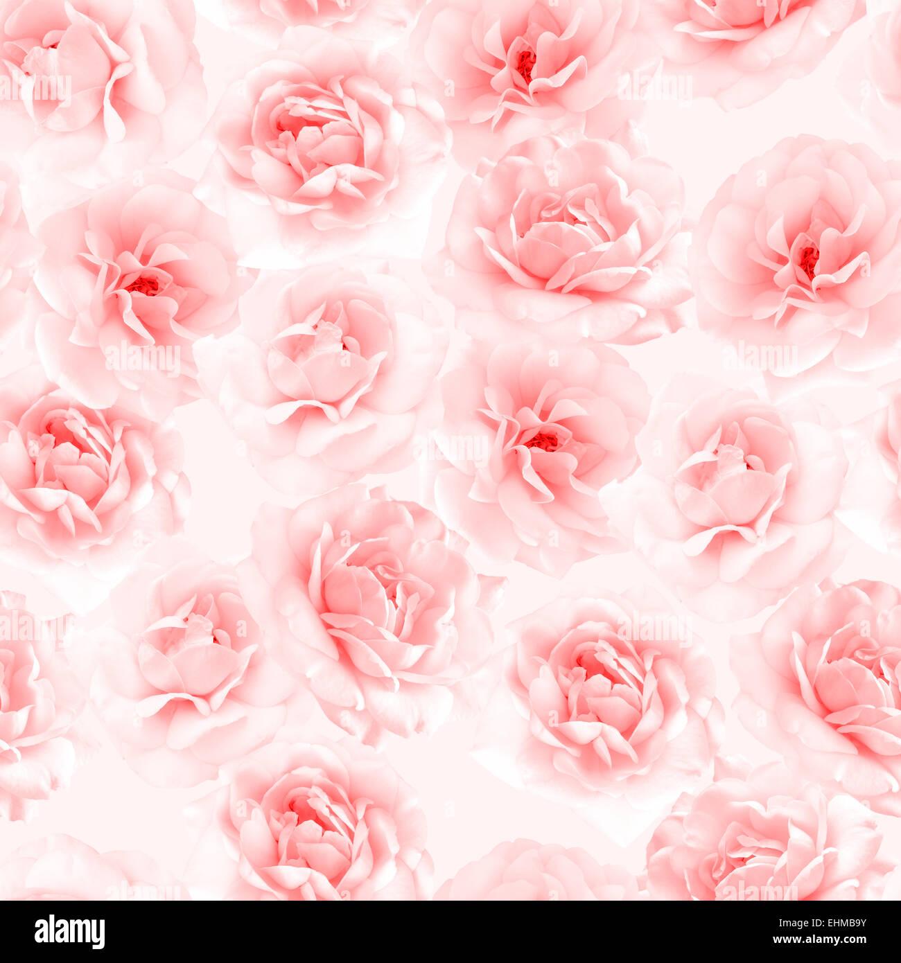 Pink Roses Seamless Rose seamless flower background hi-res stock photography and images - Alamy