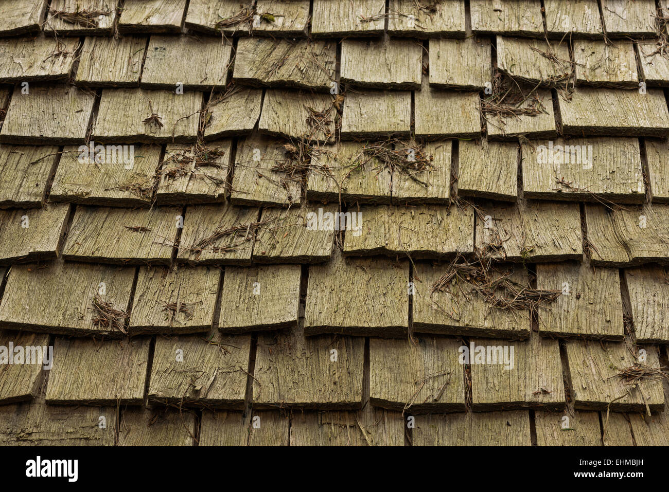 gnarled weathered Cedar shingles a renewable environmentally friendly