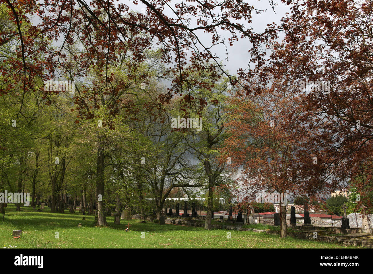 Spring time at the Town Cemetery in Karlovy Vary, Czech Republic. Stock Photo