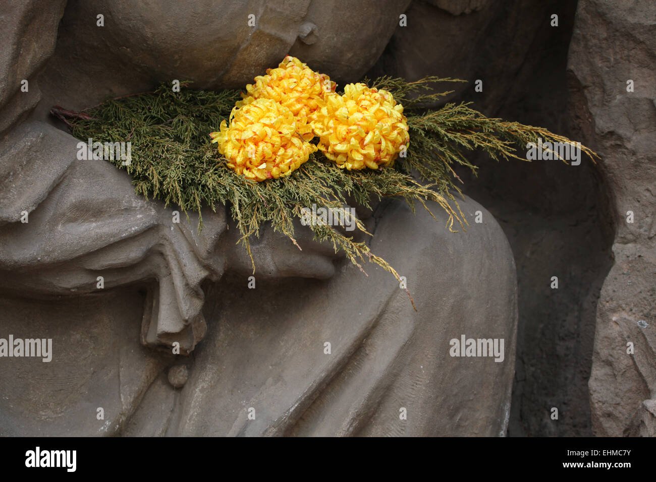 Yellow chrysanthemum at the Josefov Garrison Cemetery in Jaromer, Central Bohemia, Czech Republic. Stock Photo