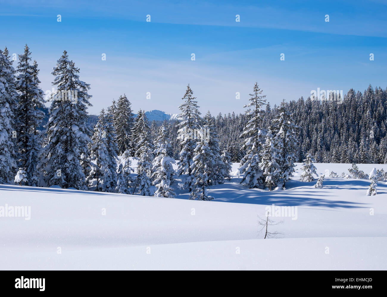 Winklmoosalm alp, Reit im Winkl, Chiemgau Alps, Upper Bavaria, Bavaria, Germany Stock Photo