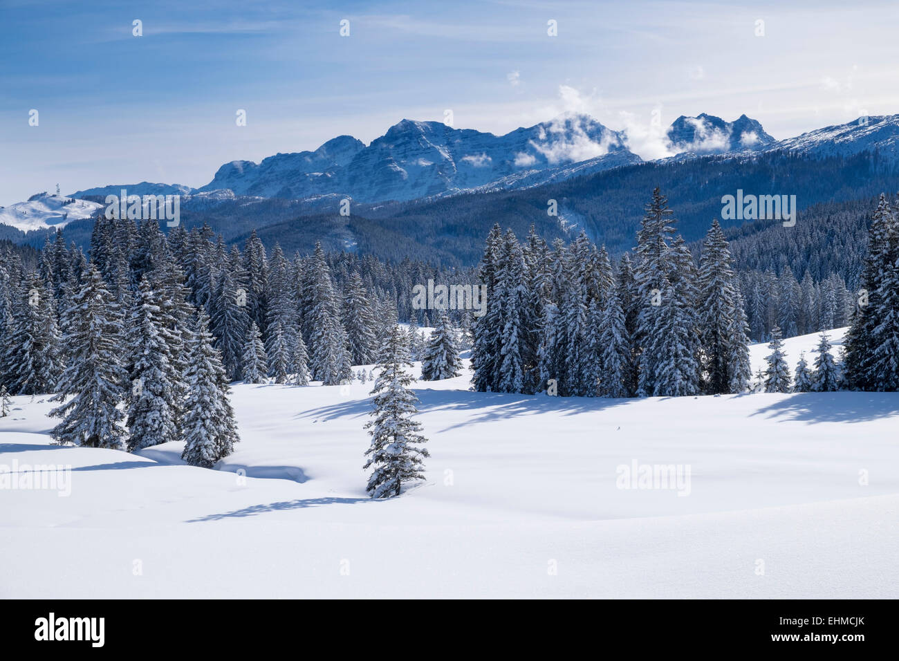 Winklmoosalm alp and Lofer Steinberg mountains in Salzburg state, Austria, Reit im Winkl, Chiemgau Alps, Upper Bavaria, Bavaria Stock Photo