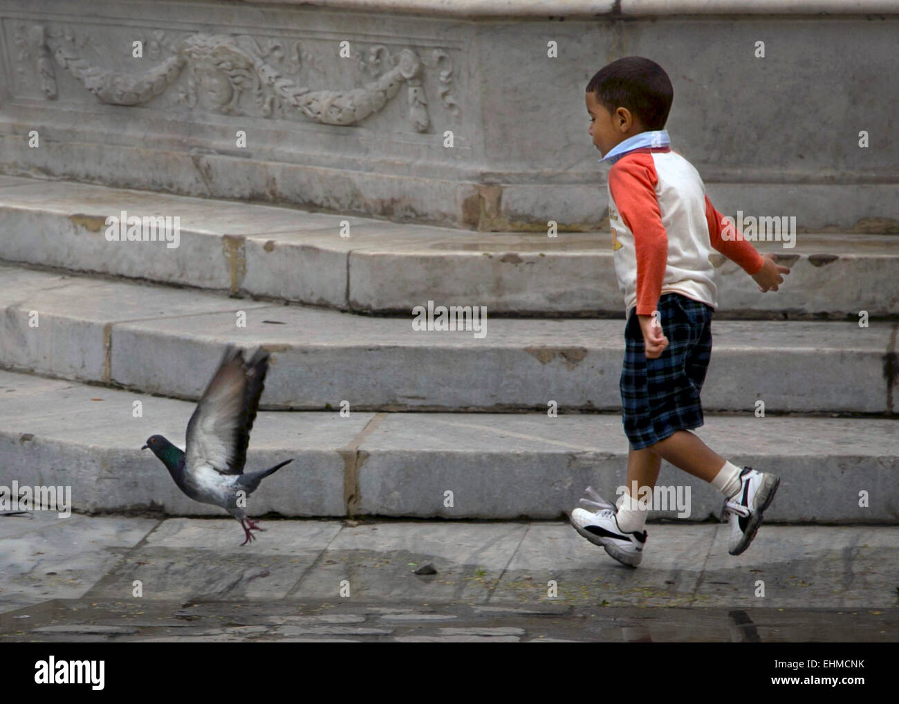 Little boy chasing bird Stock Photo Alamy