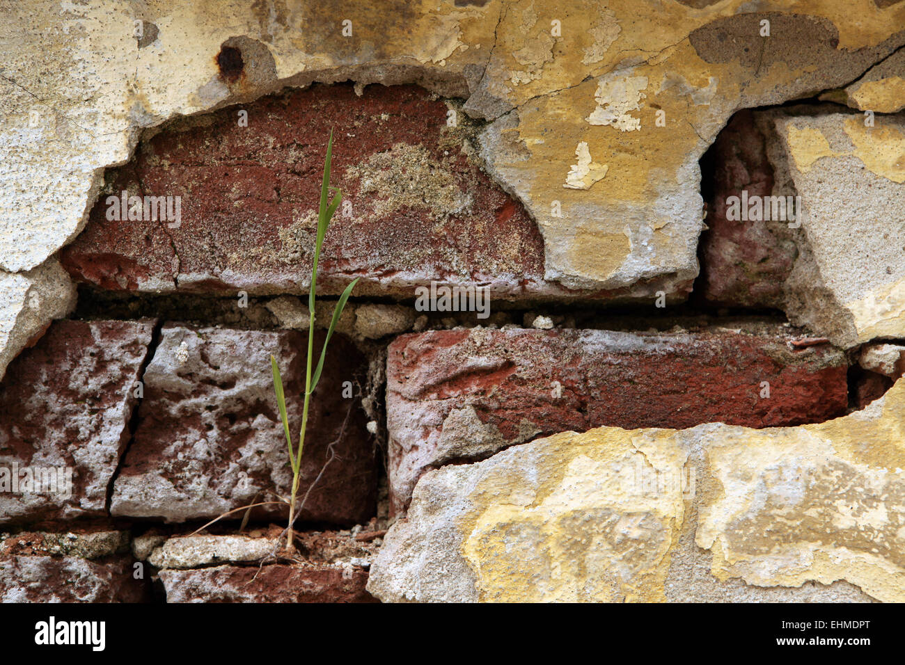 Old brick wall with cracked plaster. Stock Photo