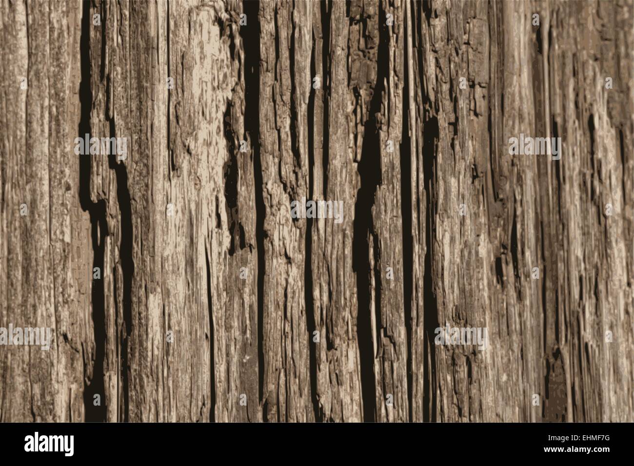 Old cracked wood texture grunge background Stock Vector