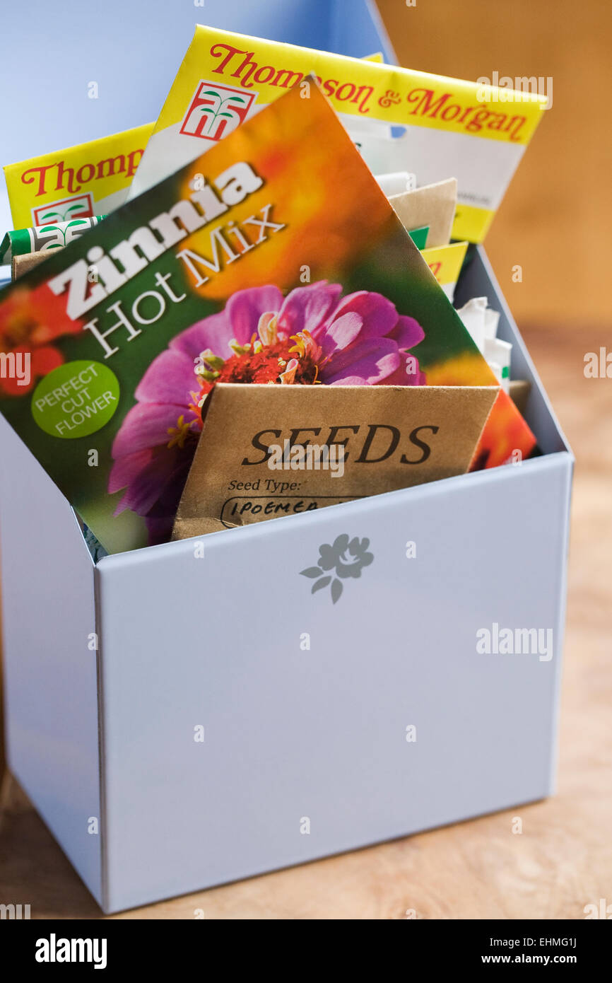 Seed tin with seed packets. Stock Photo