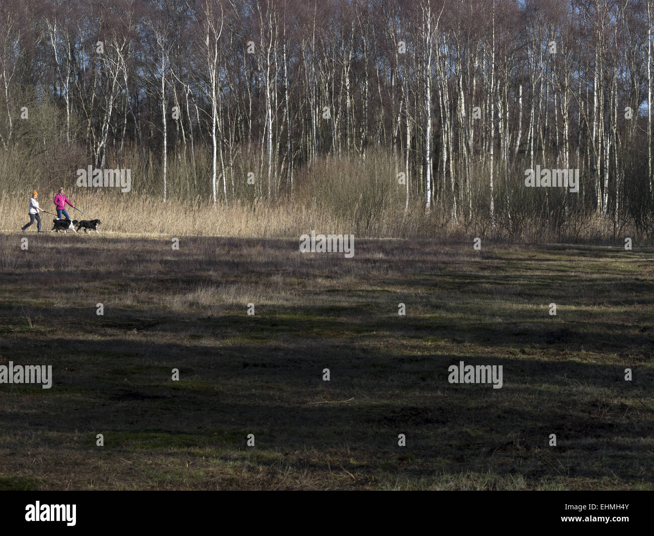 Two dog walkers in Holme Fen nature reserve in Cambridgeshire Stock Photo