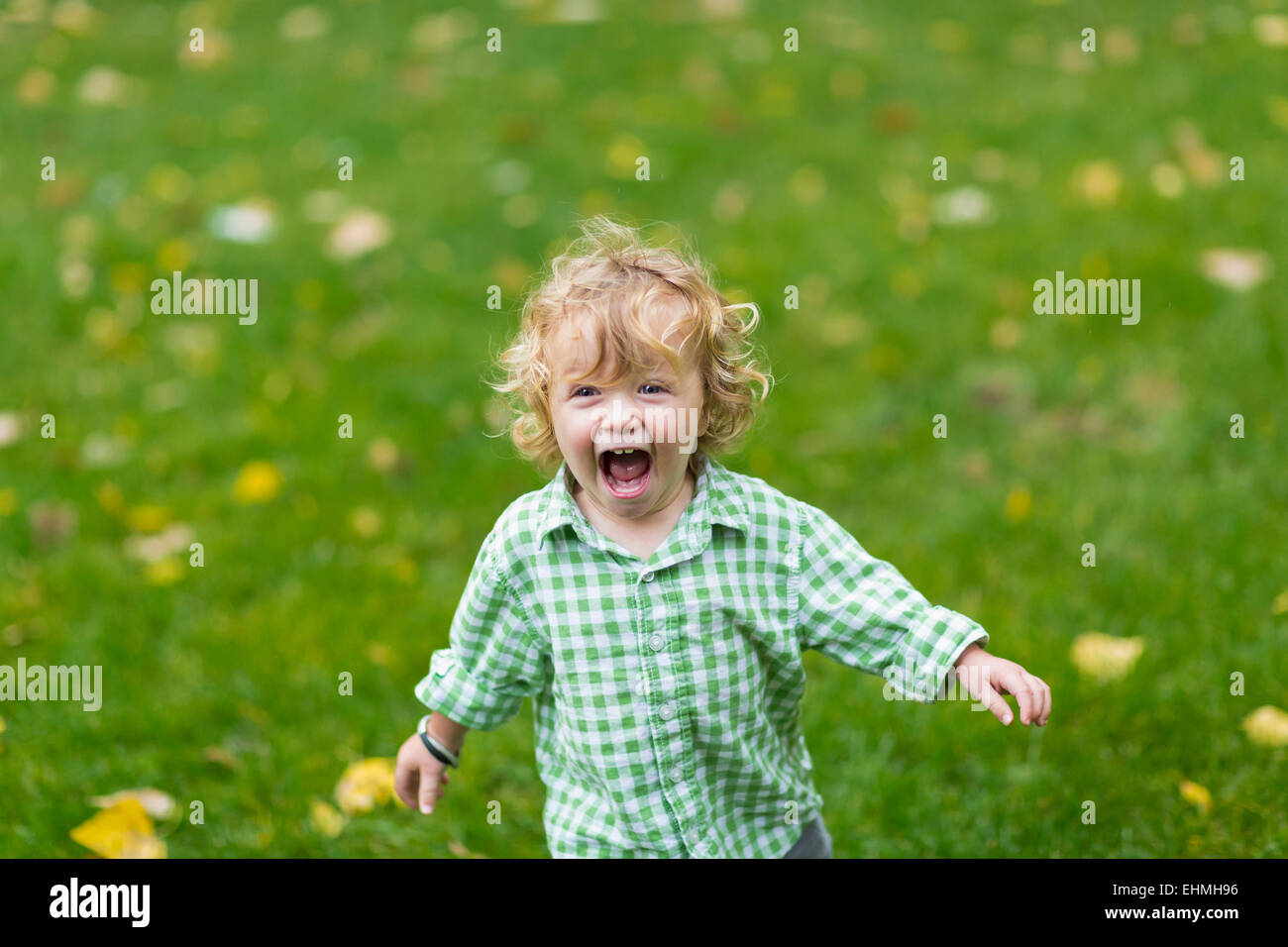 Caucasian boy laughing in field Stock Photo