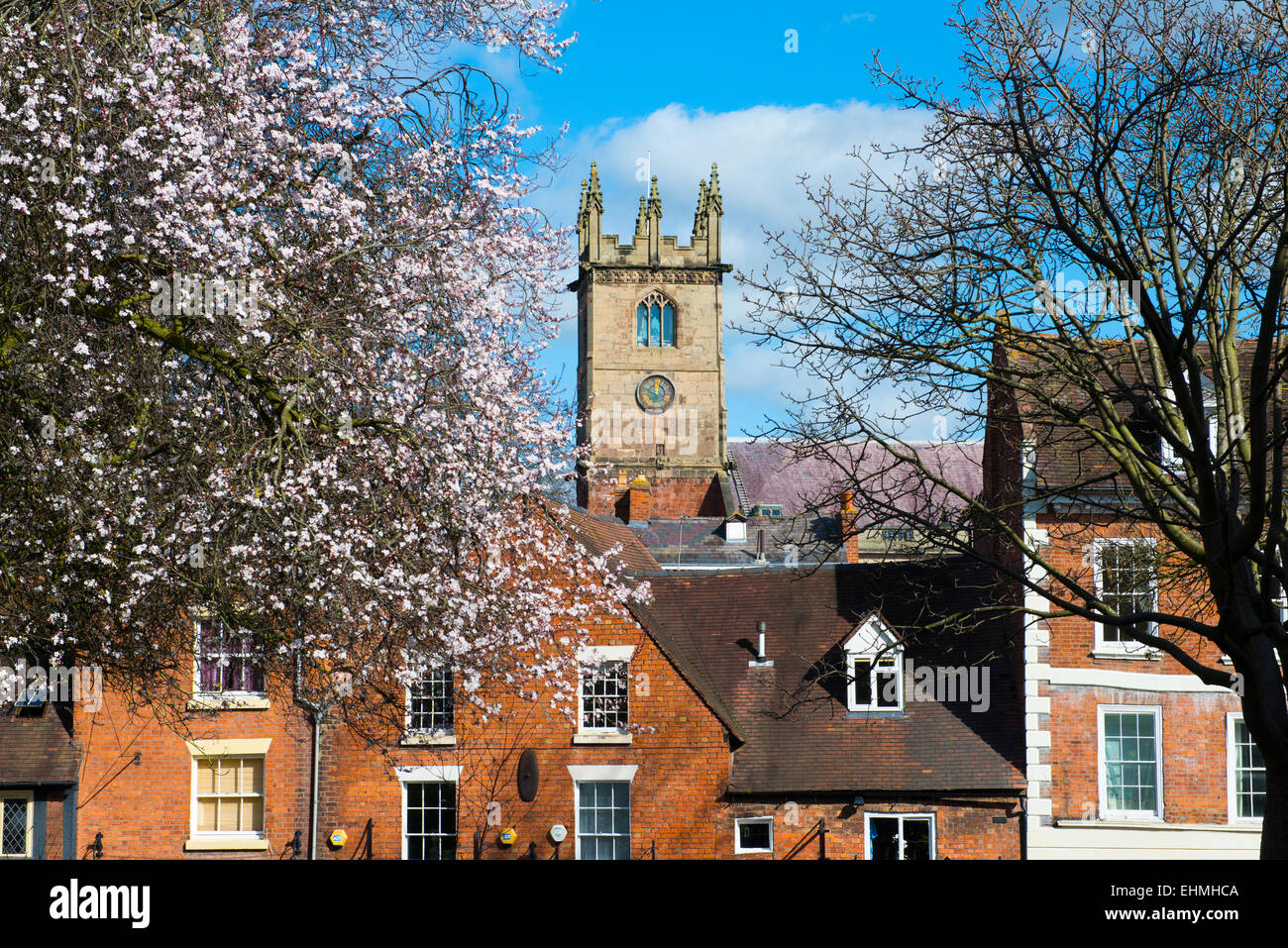 St Julian's Church in Spring time, Shrewsbury, Shropshire, England Stock Photo Alamy
