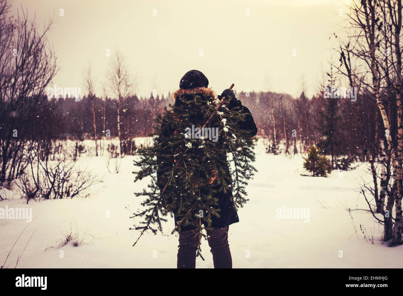 Caucasian man carrying tree in snowy field Stock Photo