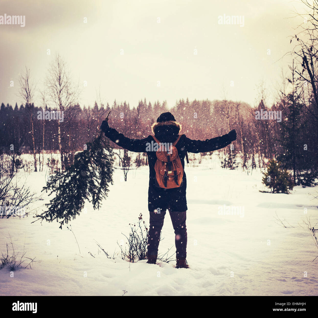 Caucasian man carrying tree in snowy field Stock Photo