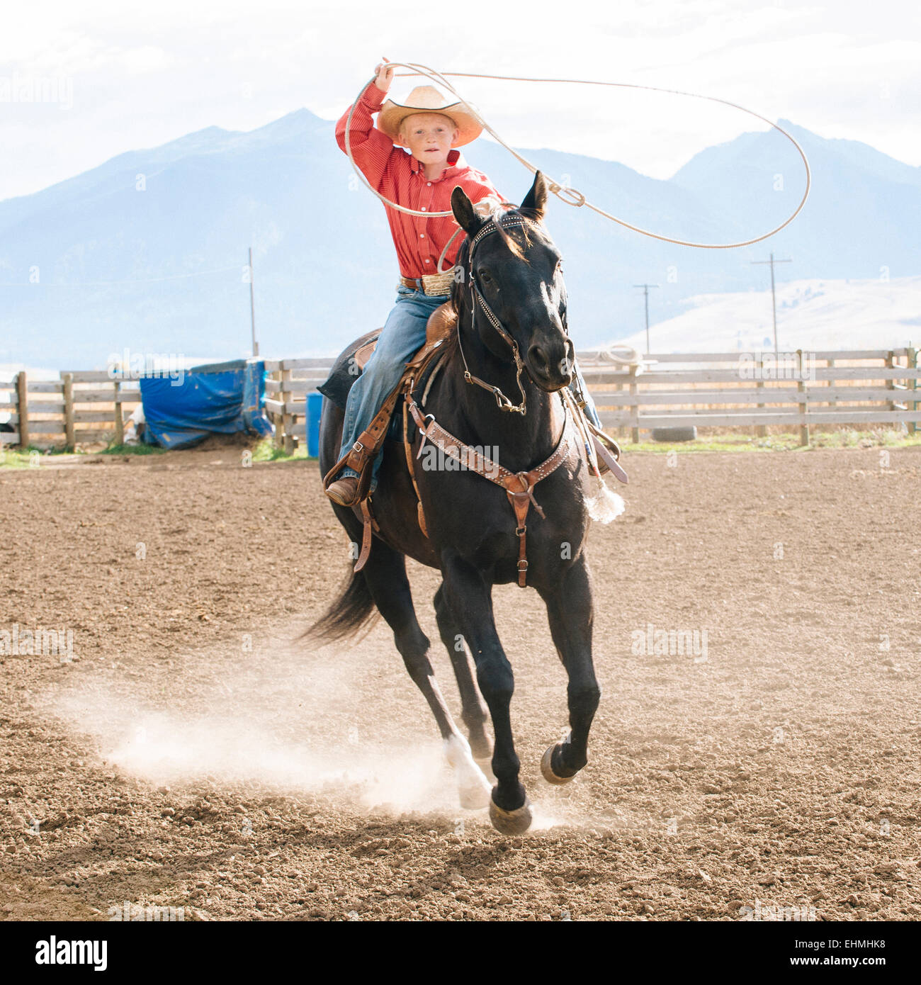 Caucasian boy using lasso on horse at rodeo Stock Photo