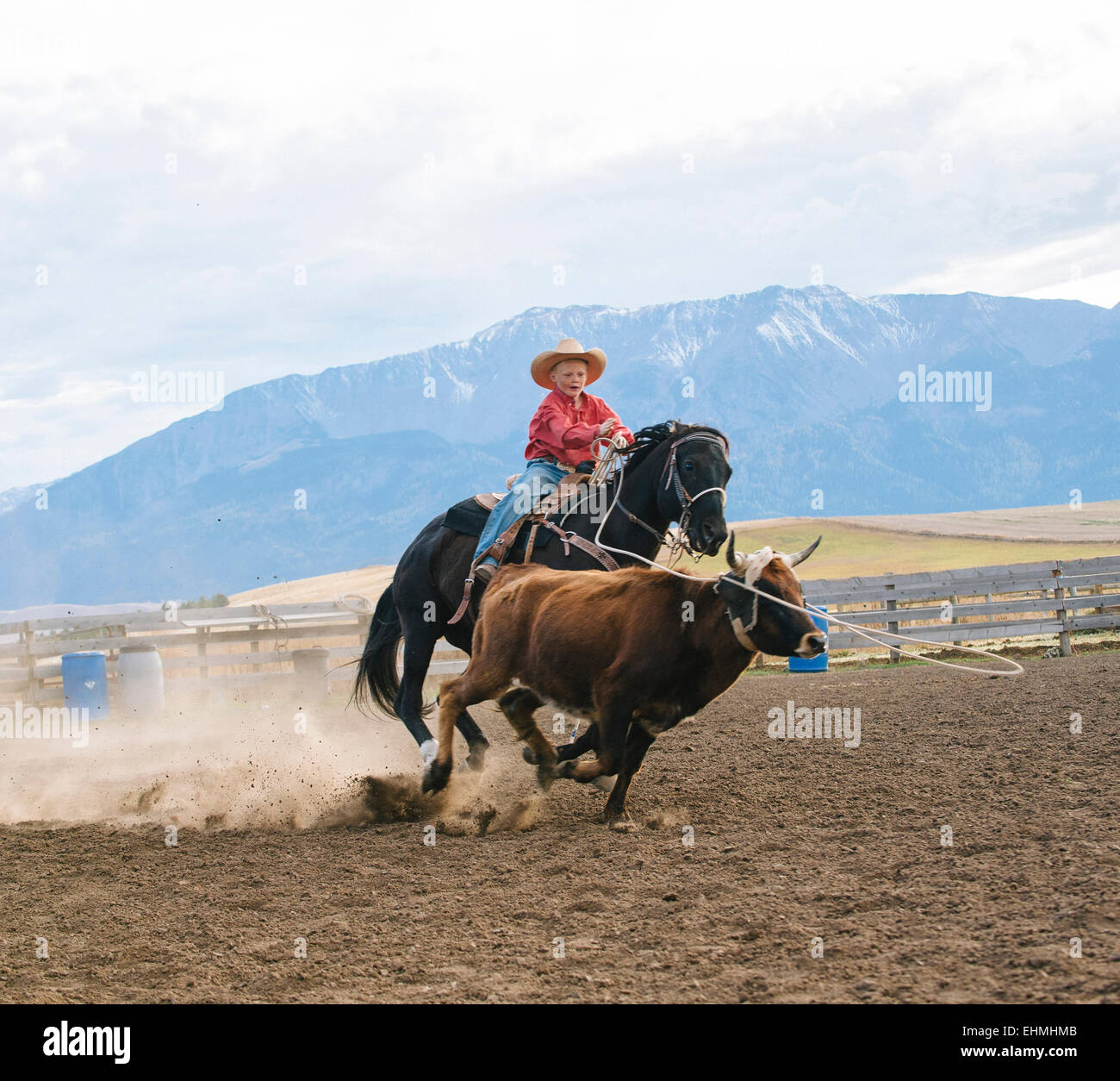 Caucasian boy chasing cattle at rodeo Stock Photo