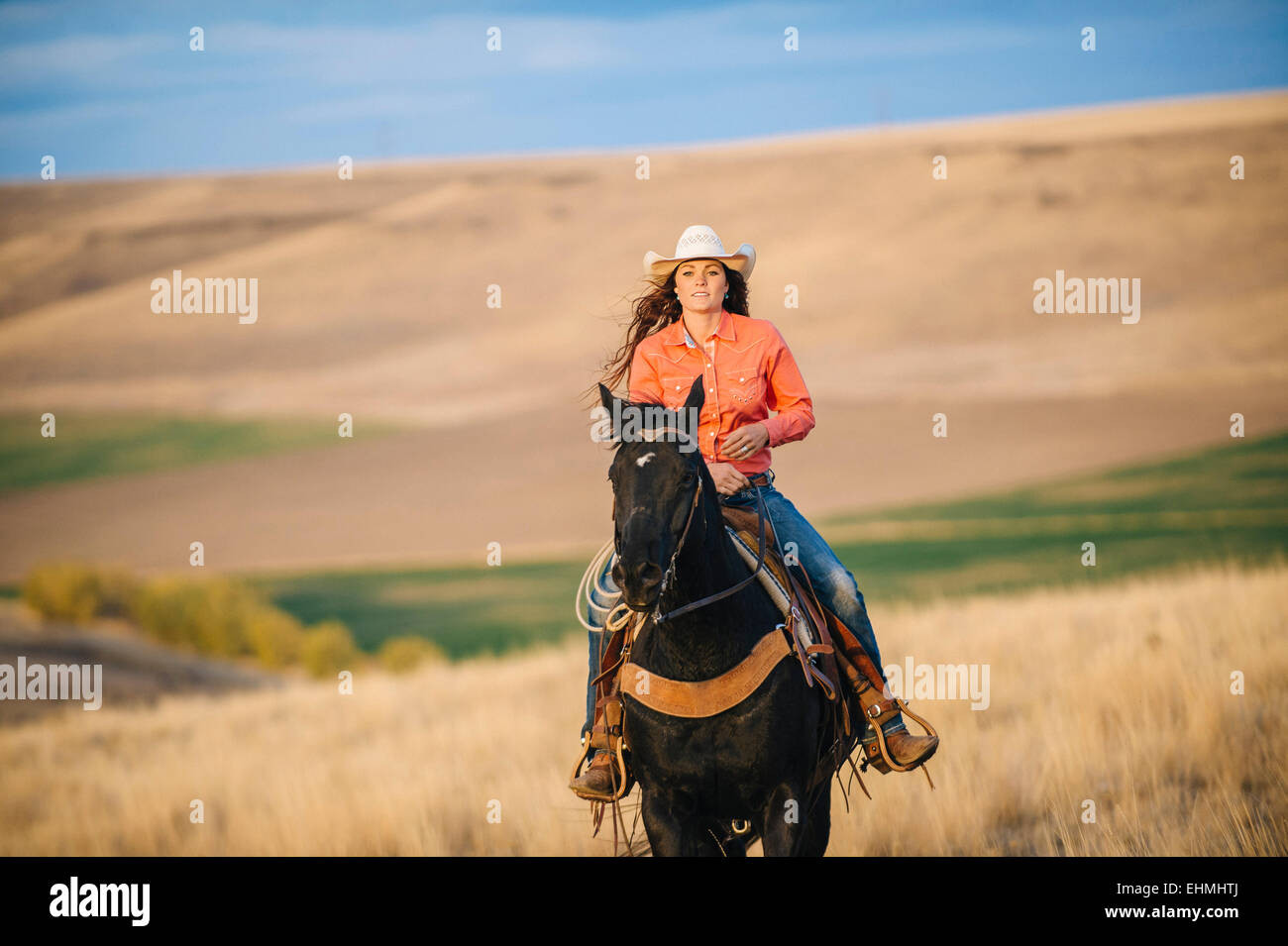 Caucasian woman riding horse in grassy field Stock Photo