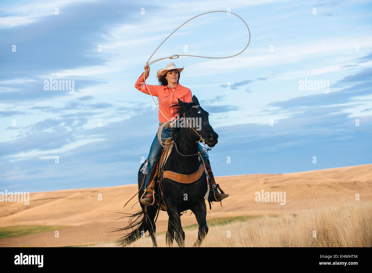 Caucasian woman on horse throwing lasso in grassy field Stock Photo