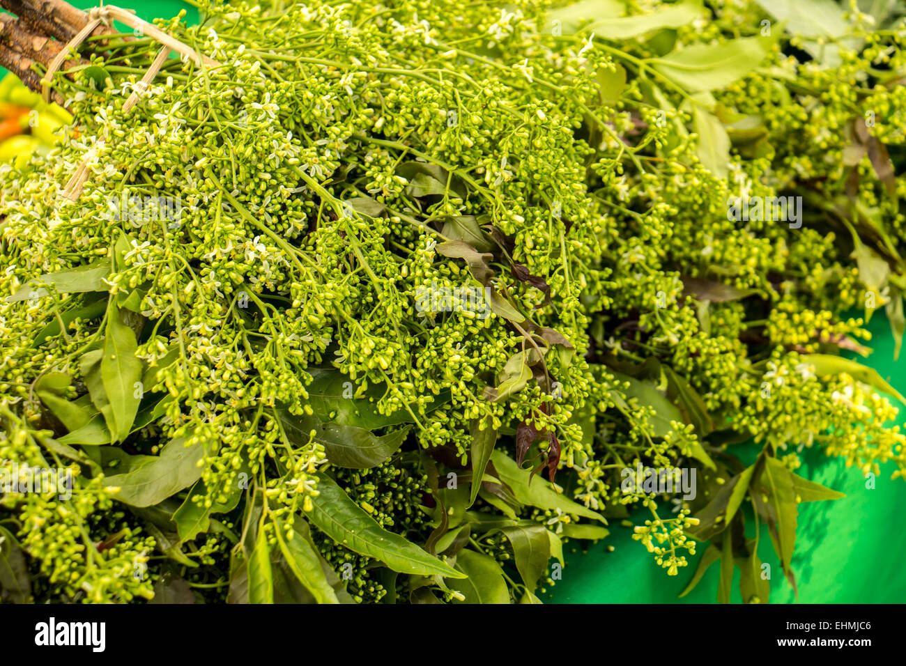 Organic vegetables, onion, lettuce, green, fresh Stock Photo