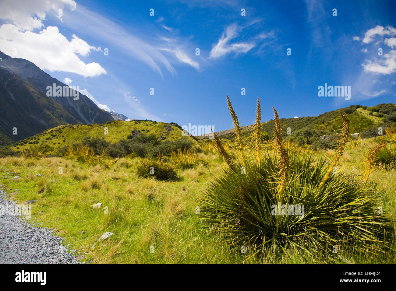 Beautiful scenery in Aoraki National Park, South Island, New Zealand Stock Photo