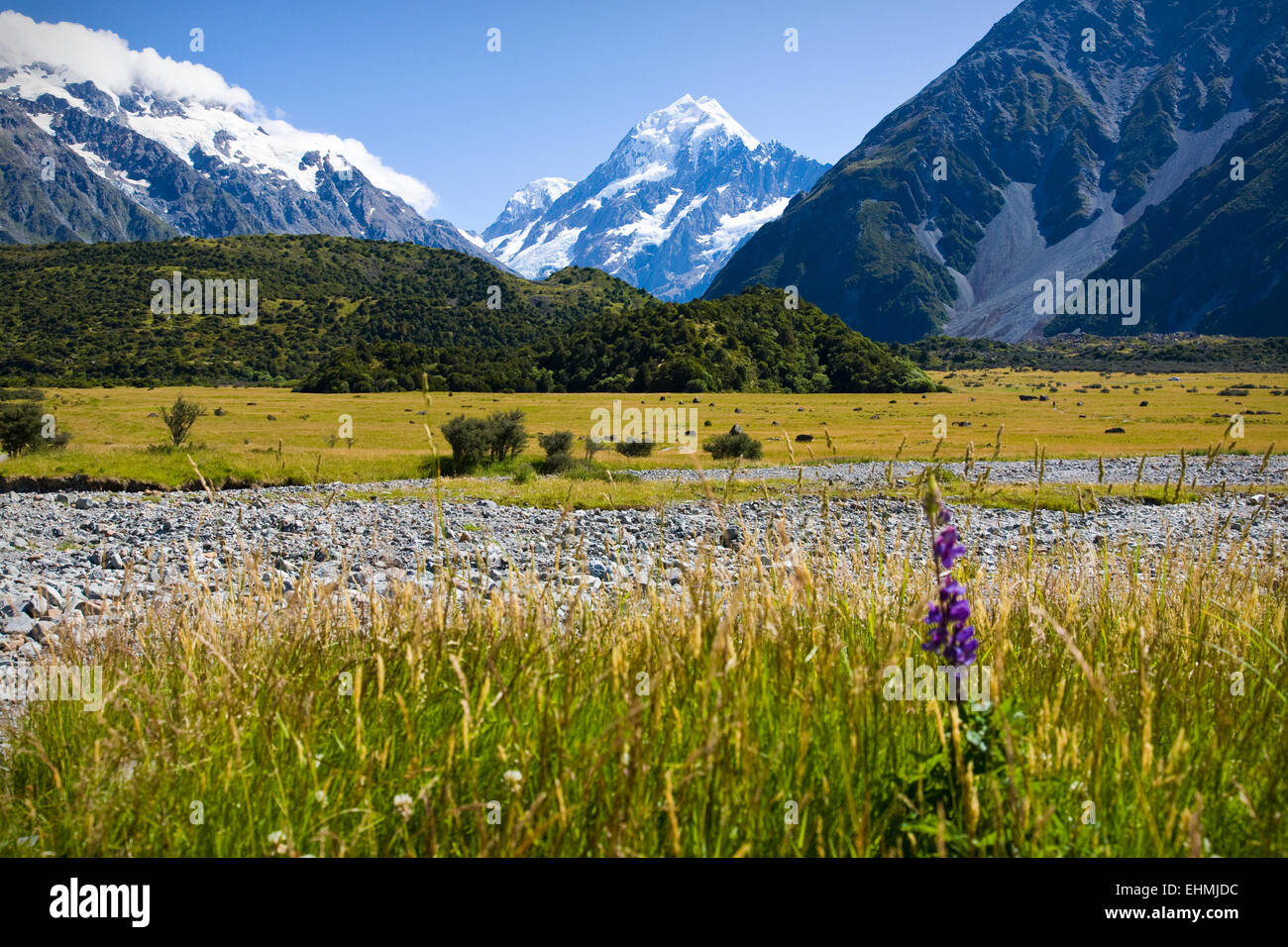 Mount Cook, Aoraki, South Island, New Zealand Stock Photo Alamy