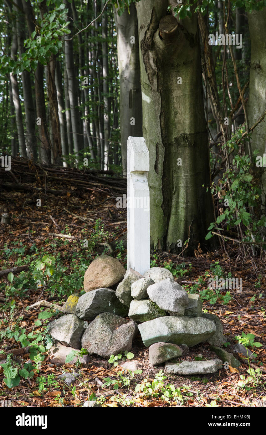 Wooden point in the deciduous forest Stock Photo - Alamy