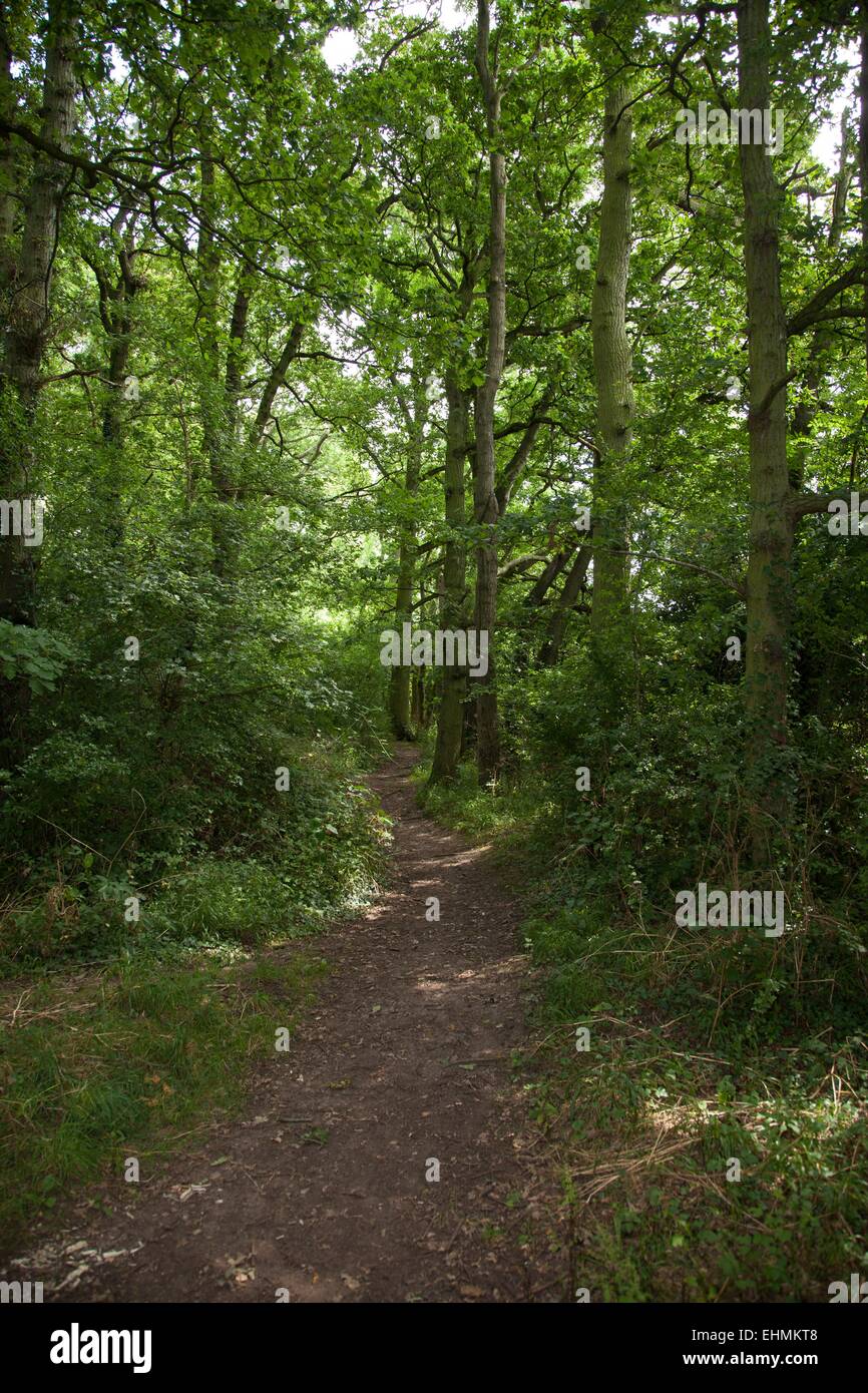 Glen parva leicester hires stock photography and images Alamy