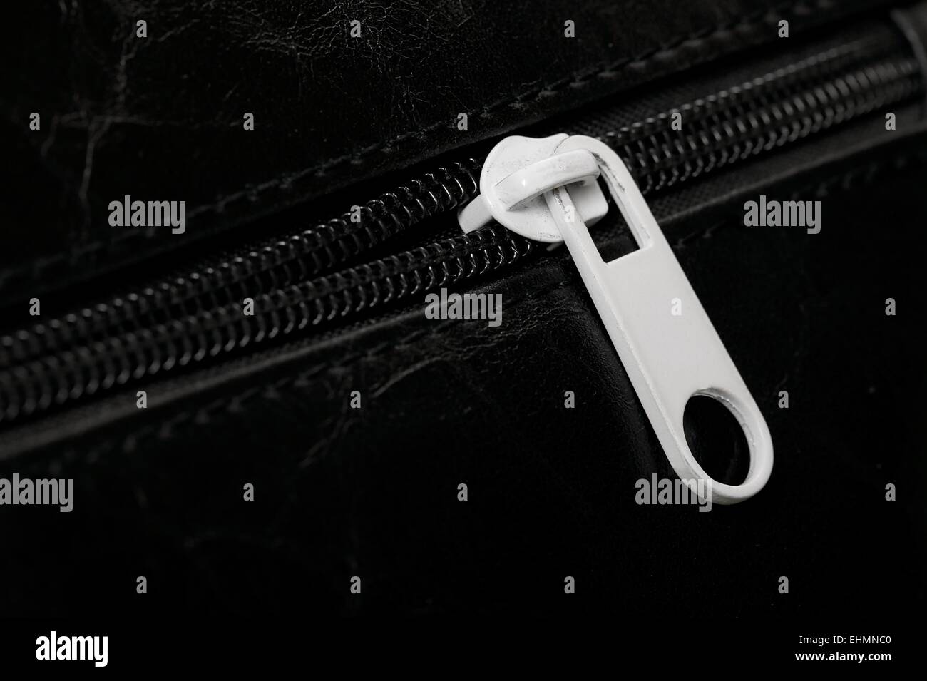 Zipper Stock Photo