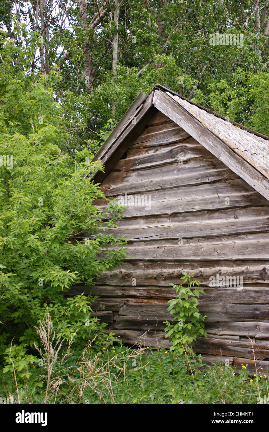 old wooden house in the woods Stock Photo