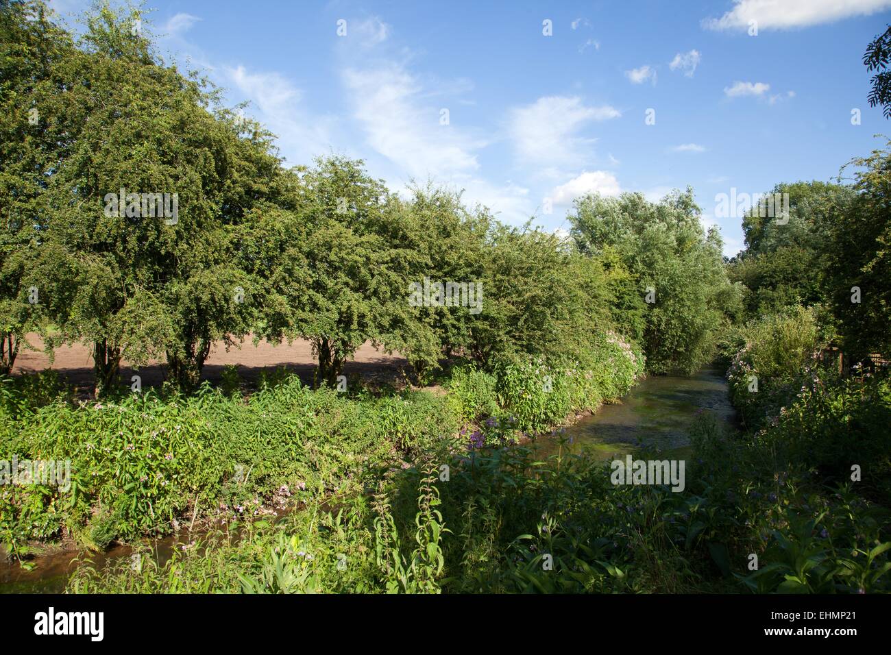 The River Stour, flowing behind the High Street In Kinver, Stock Photo