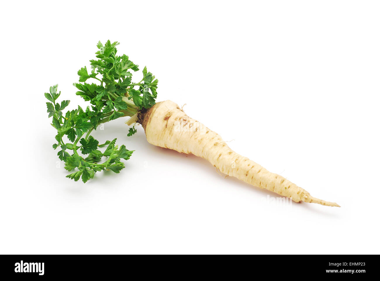 parsley root on white background Stock Photo Alamy