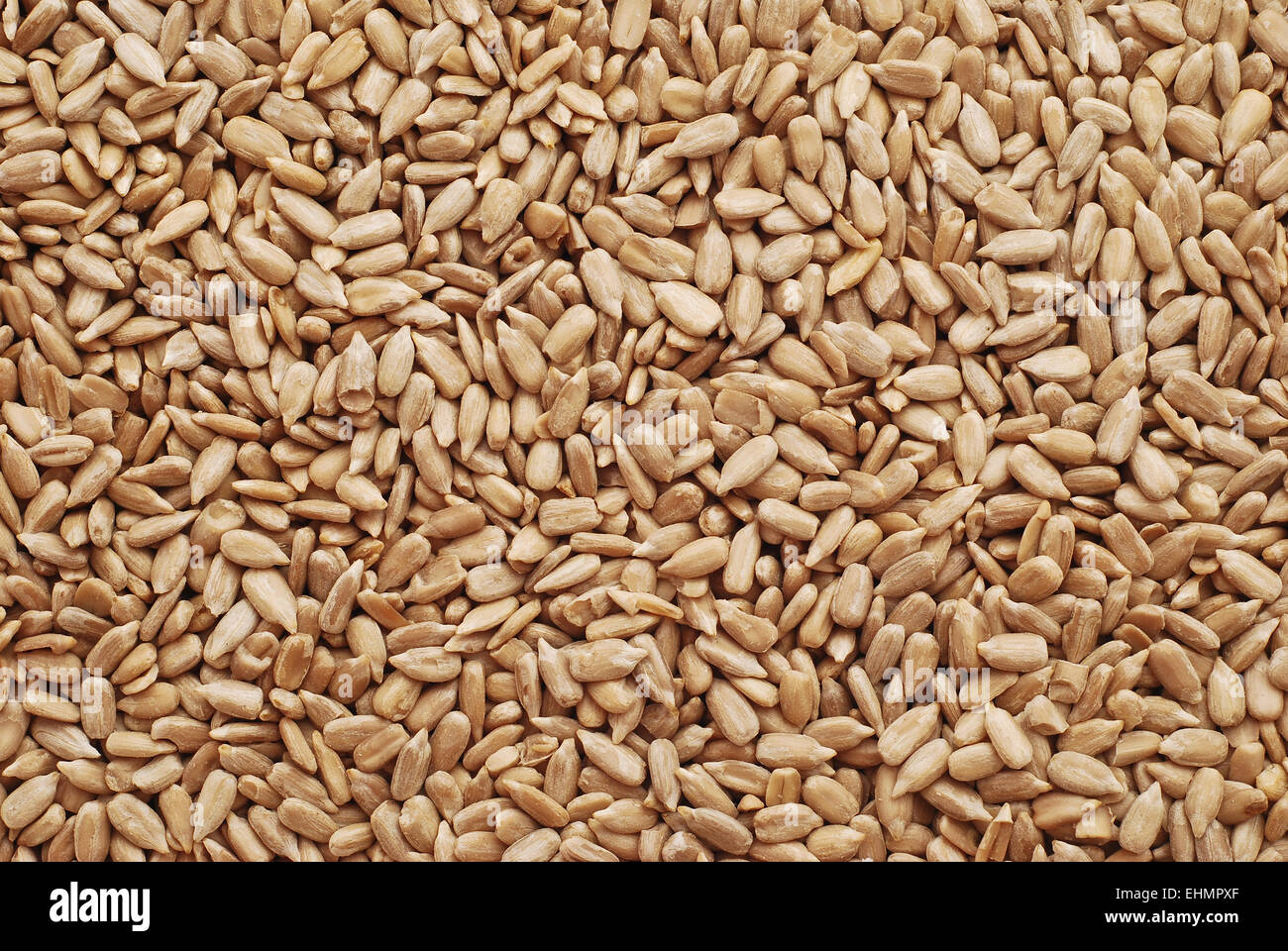 sunflower seeds kernel texture detail Stock Photo Alamy