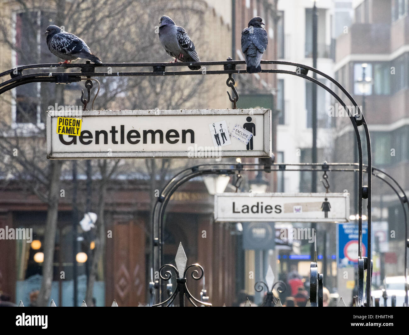 Public Toilets London Pigeons perch on one of London's vanishing