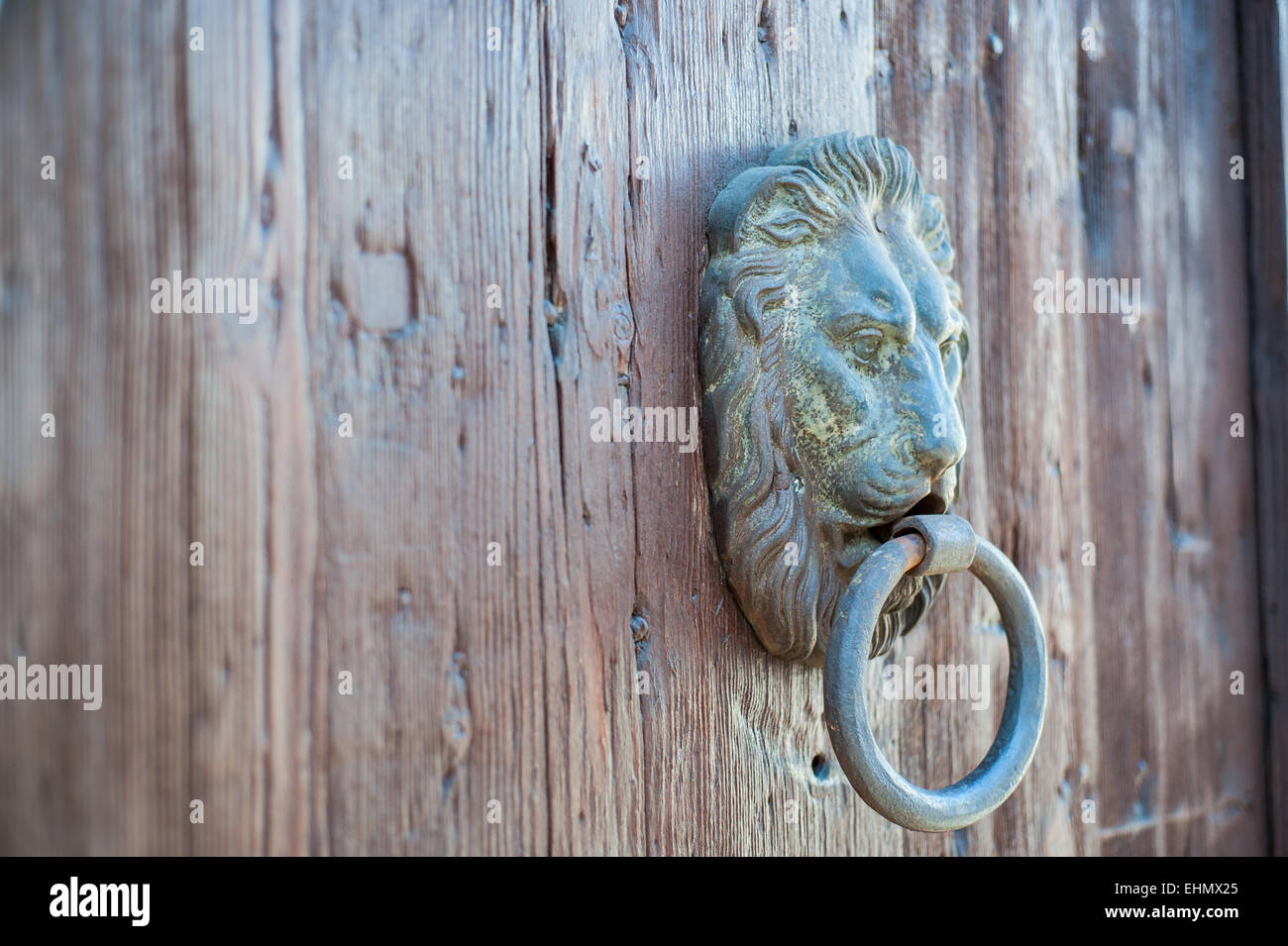 Doors with door knocker in the shape of lion head Stock Photo