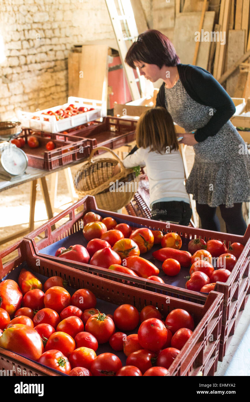 Vegetables france hires stock photography and images Alamy