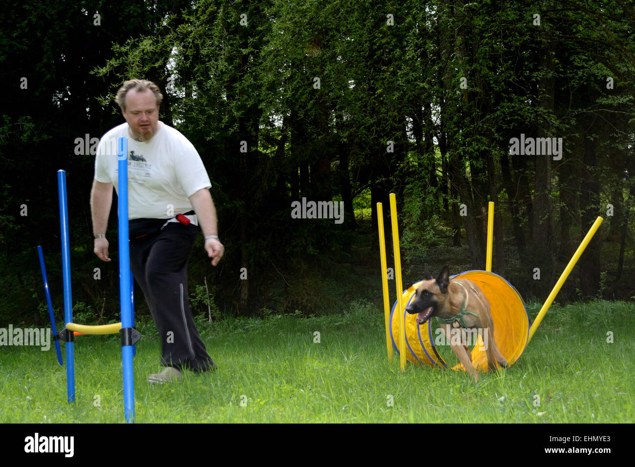 fitness training with your dog Stock Photo