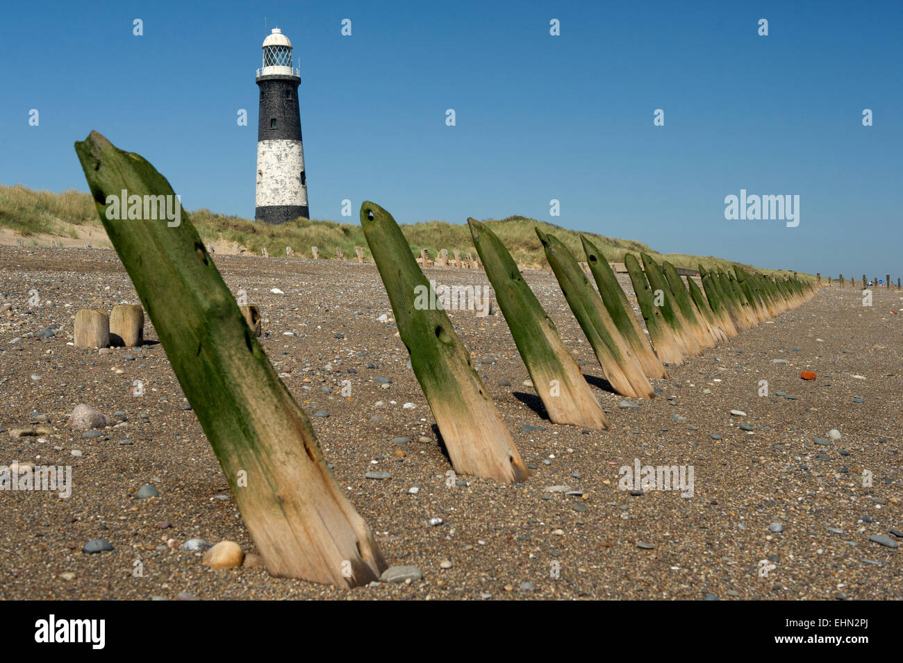 Wooden breakers, famous lighthouse on beach, Spurn Point, East