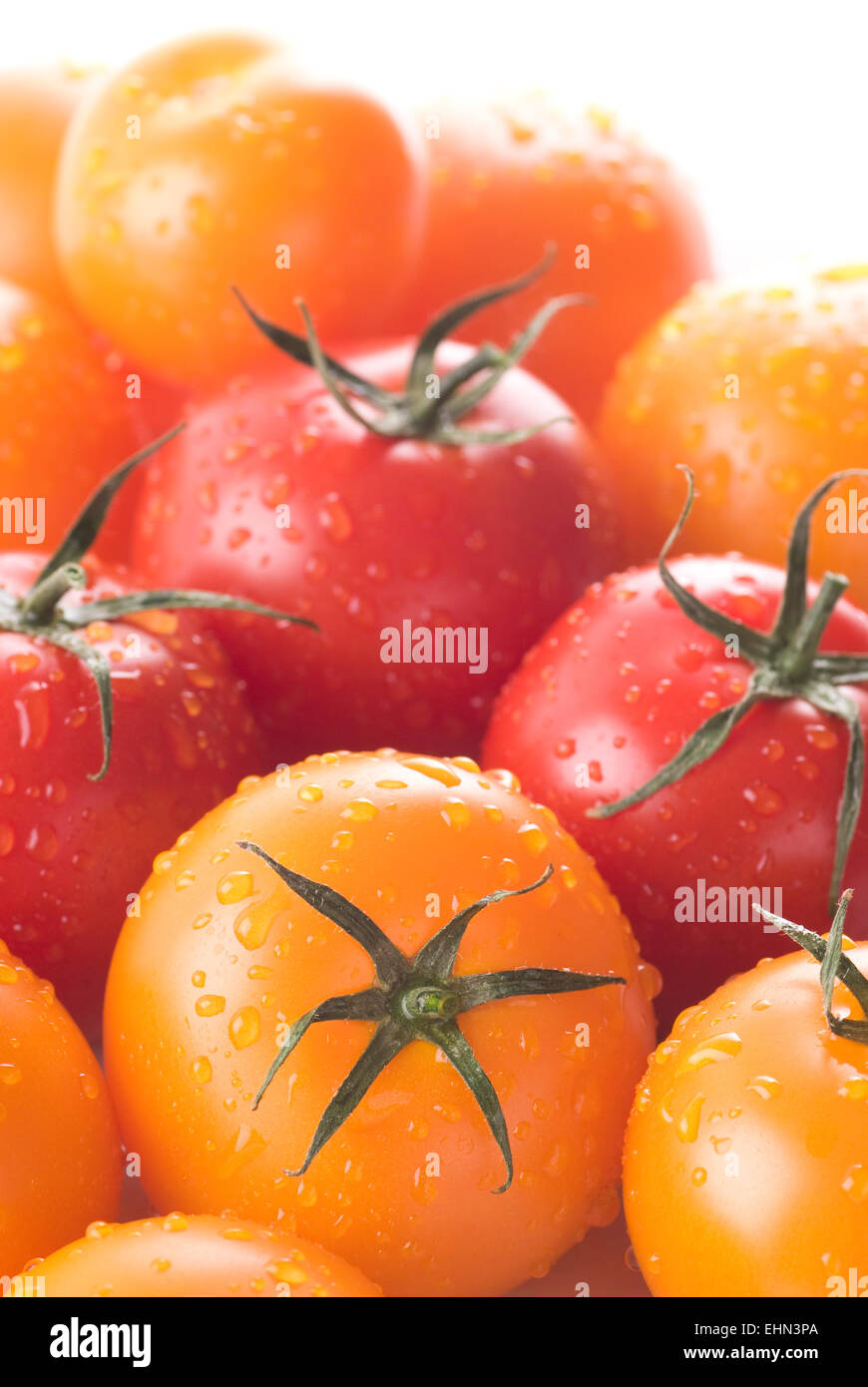 Red and yellow tomatoes, just rinsed. Stock Photo