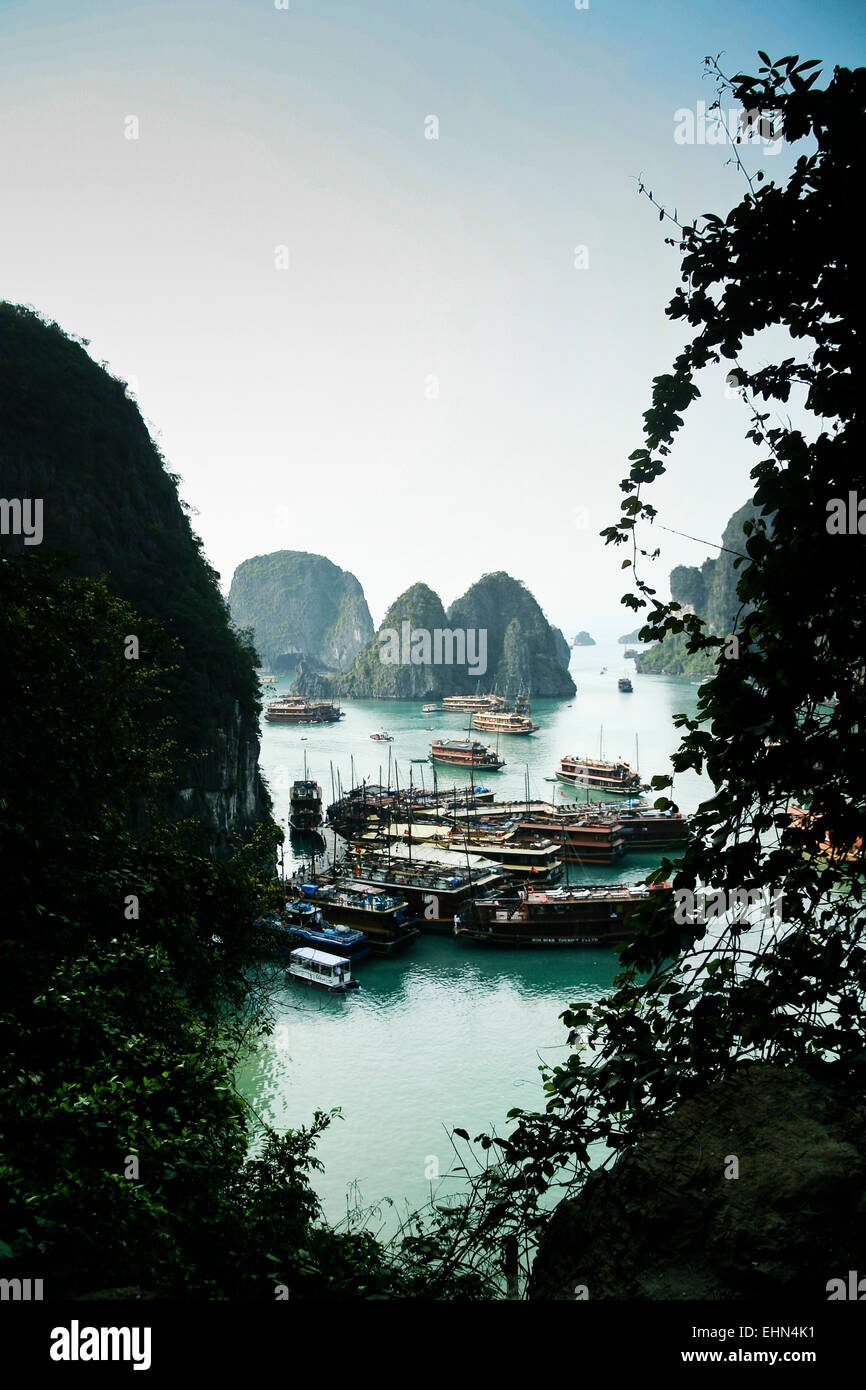 HALUNG BAY, VIETNAM Tourist boats around a floating market in Halung Bay. Stock Photo