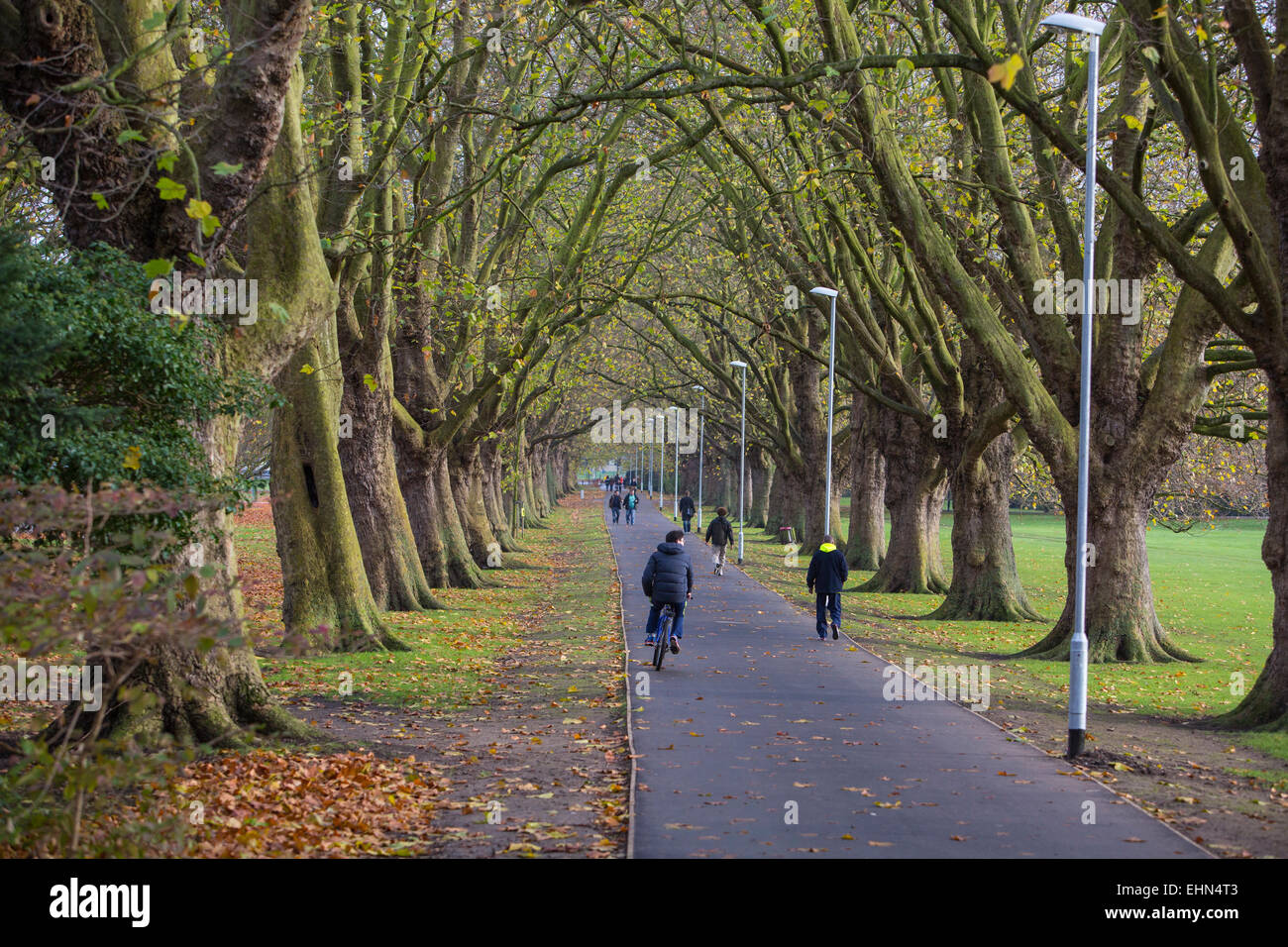 People cycling and walking through Jesus Green, Cambridge in winter. Stock Photo