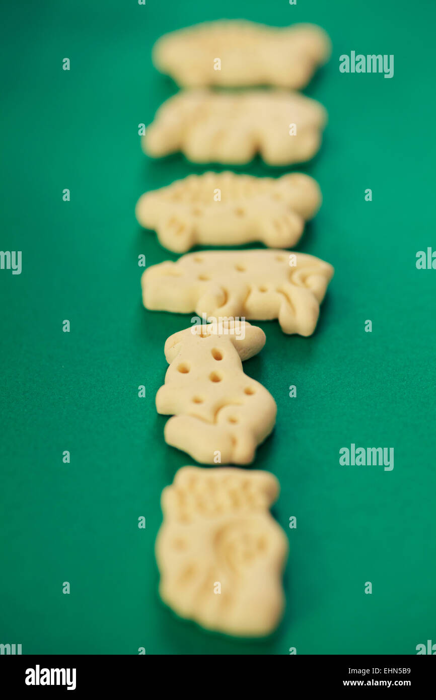 pet-food-treats-stock-photo-alamy
