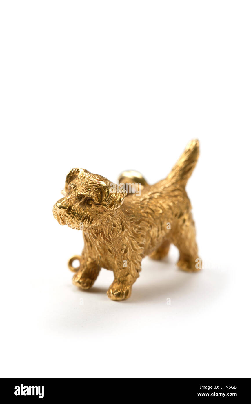 Gold terrier dog brooch. Stock Photo