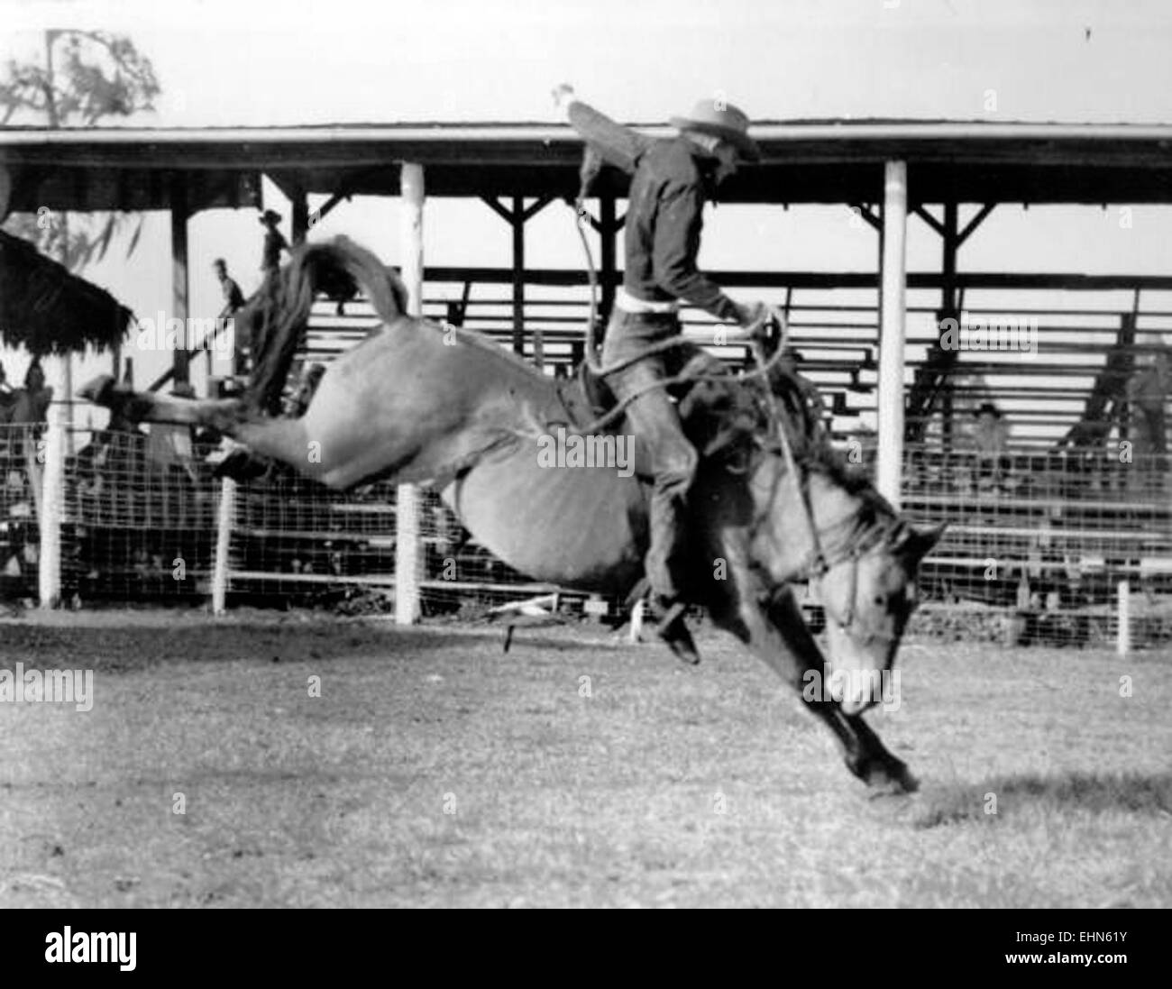 Vintage rodeo hires stock photography and images Alamy