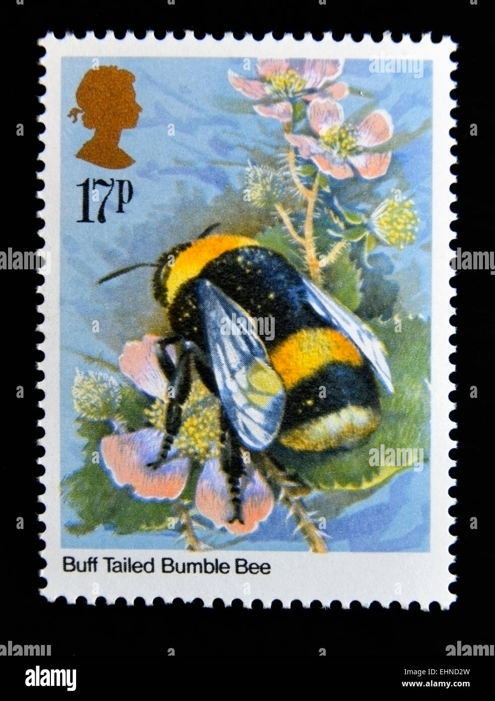 Postage stamp. Great Britain. Queen Elizabeth II. 1985. Insects. Buff ...