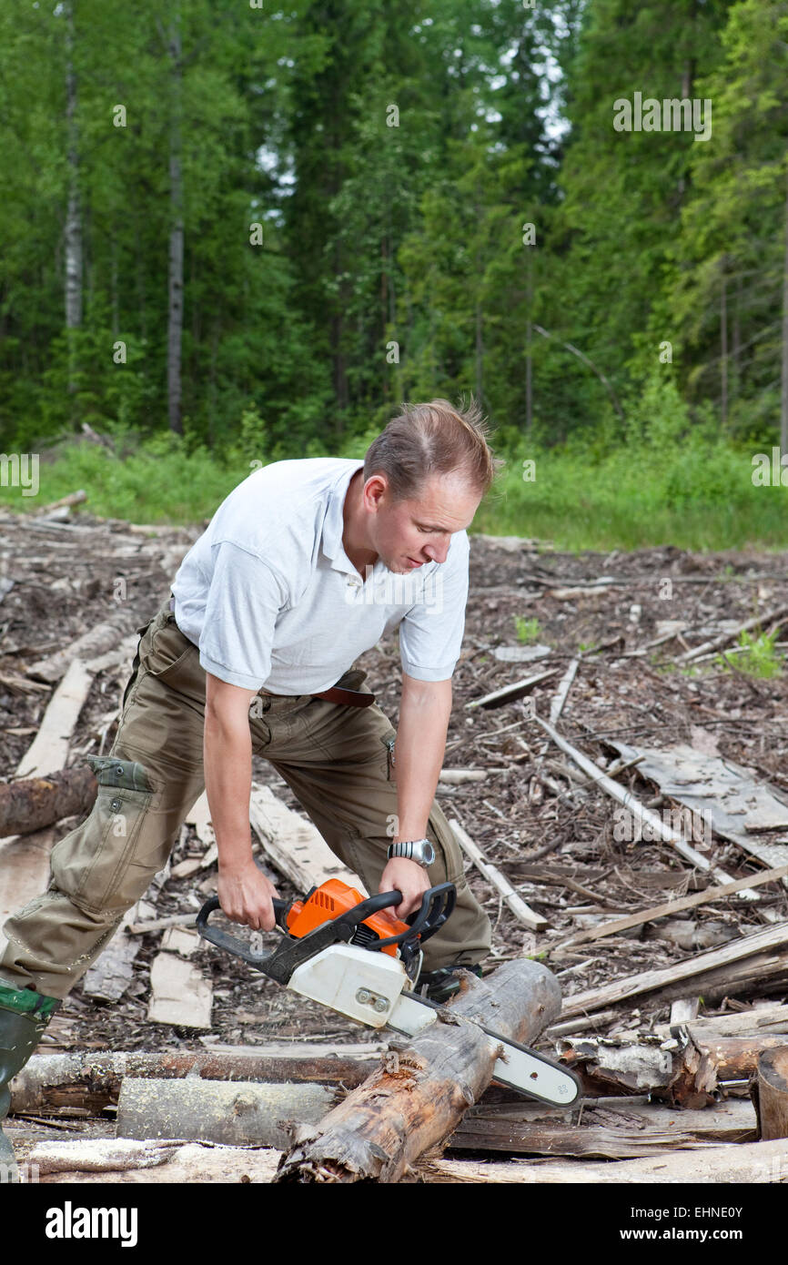 The man in wood saws a tree a chain saw Stock Photo - Alamy