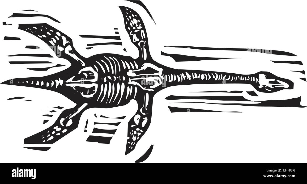 Woodcut style image of the plesiosaurus aquatic dinosaur Stock Vector