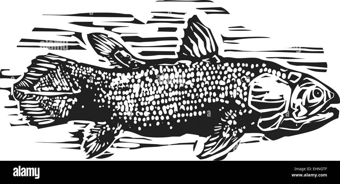 Woodcut style image of a Coelacanth the living fossil fish. Stock Vector