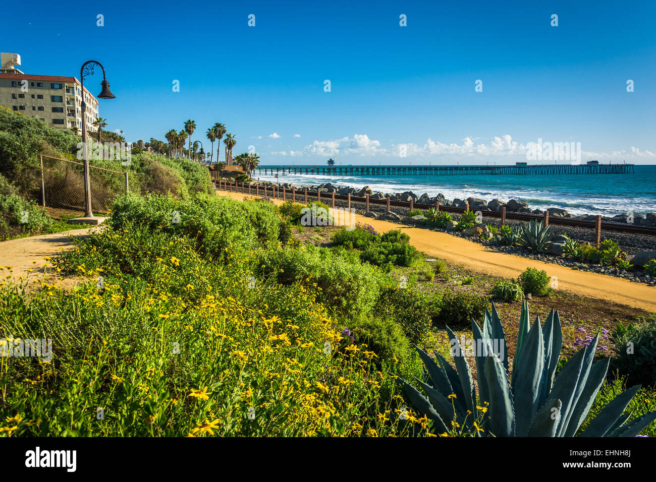 Colorful flowers and view of the fishing pier at Linda Lane Park, in San Clemente, California. Stock Photo