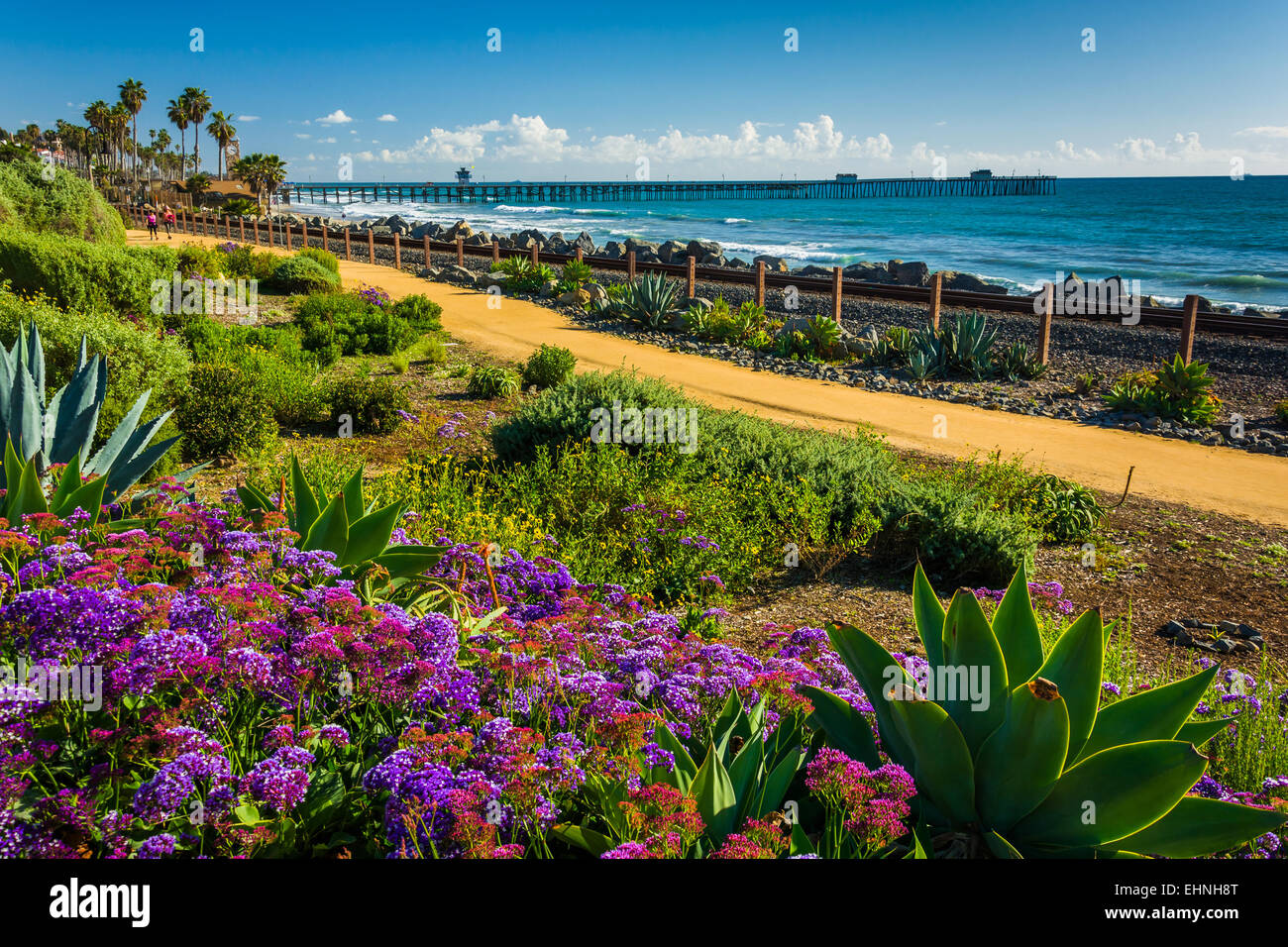 Colorful flowers and view of the fishing pier at Linda Lane Park, in San Clemente, California. Stock Photo