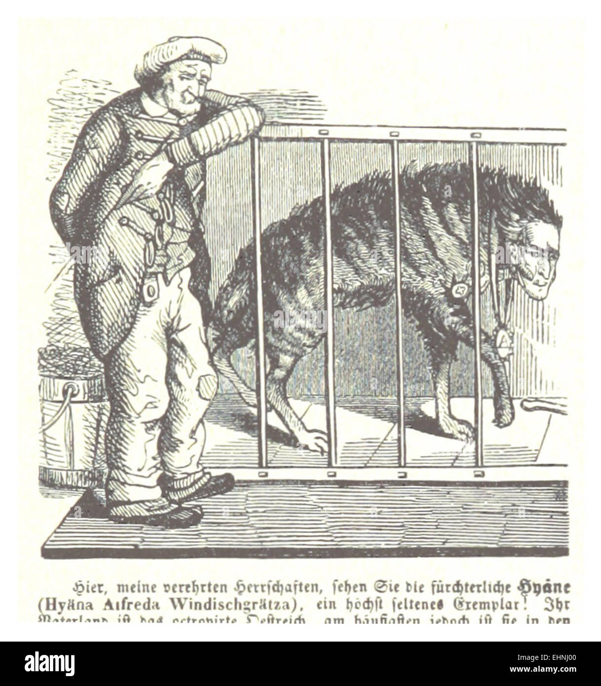 BACH(1898) p927 Karikatur Die fürchterliche Hyäne (Hyäna Alfreda Windischgrätza) Stock Photo