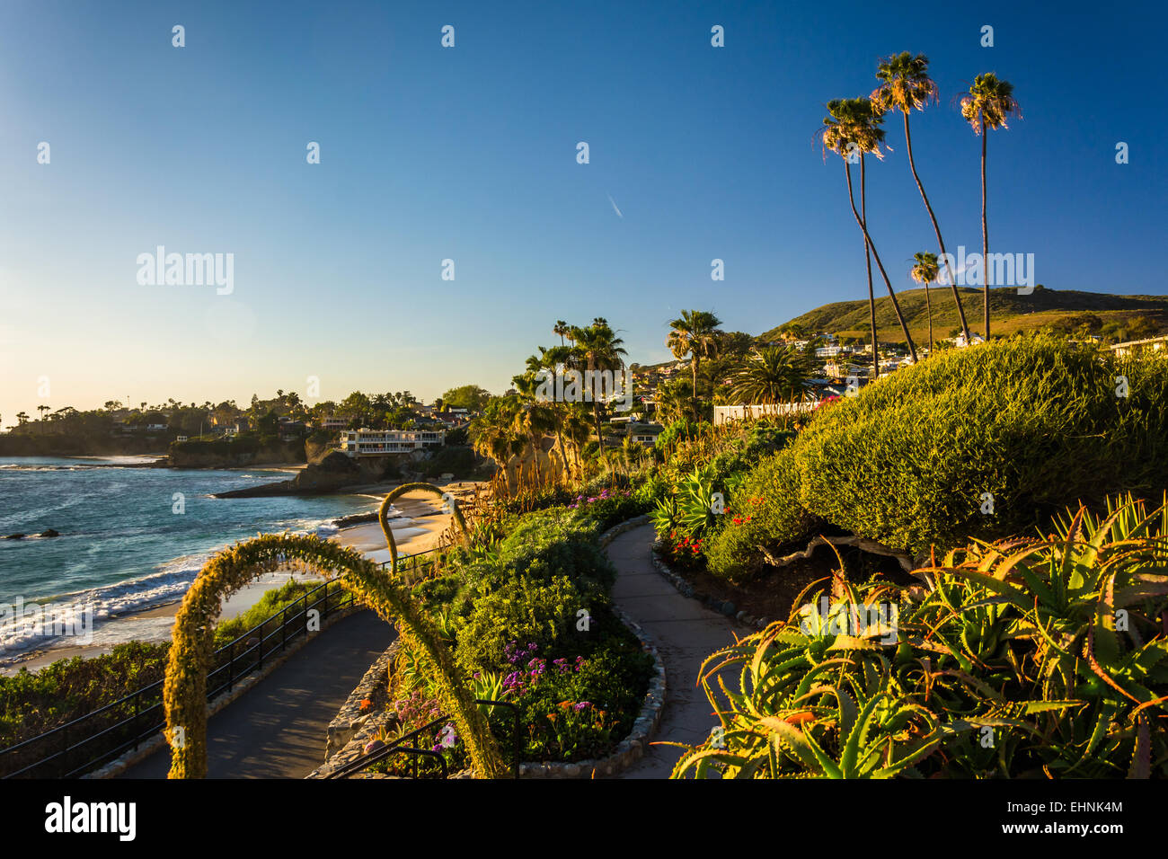 Gardens and view of the Pacific Ocean, at Heisler Park, Laguna Beach ...