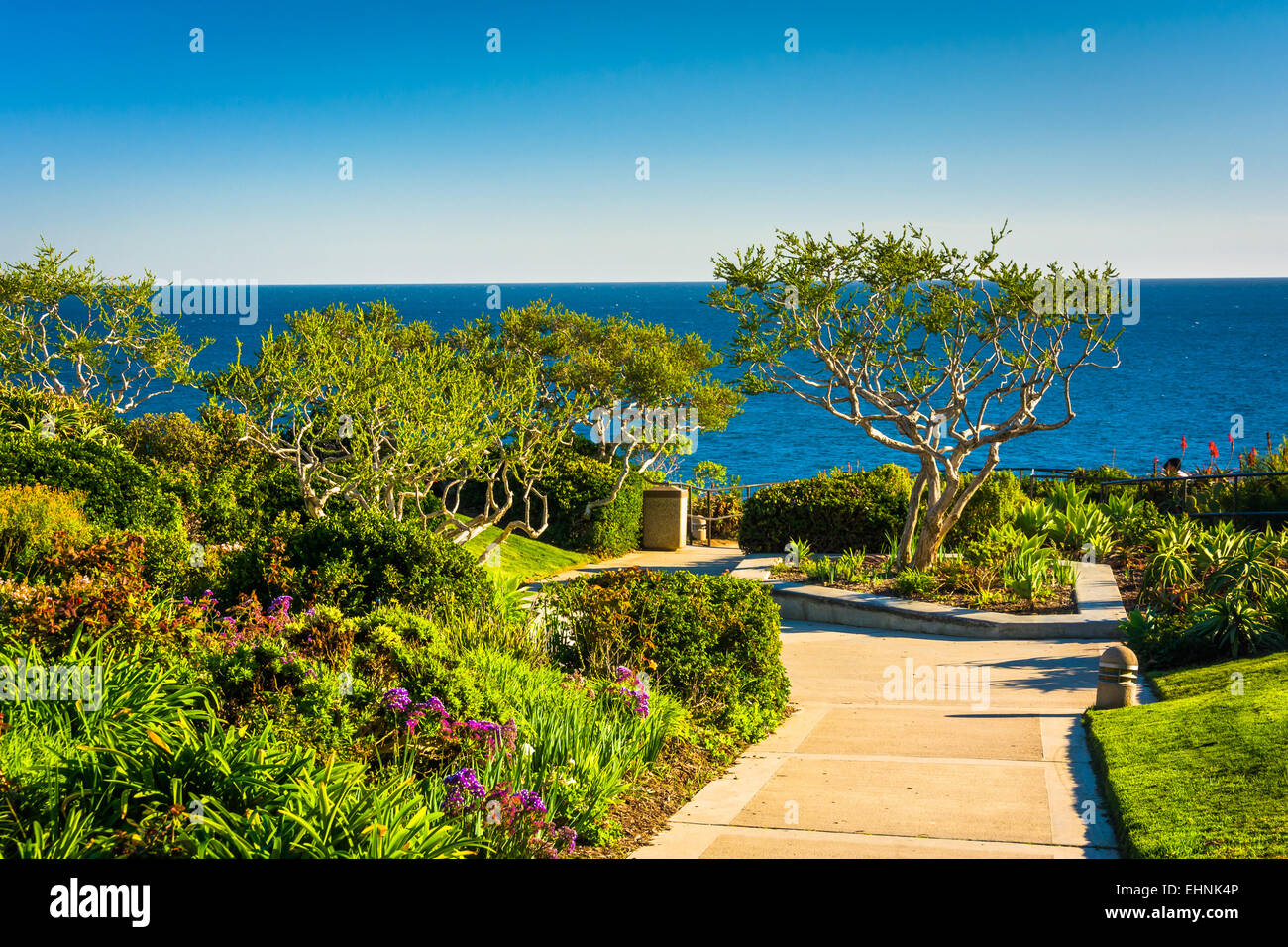 Gardens and trees overlooking the Pacific Ocean at Heisler Park, in ...
